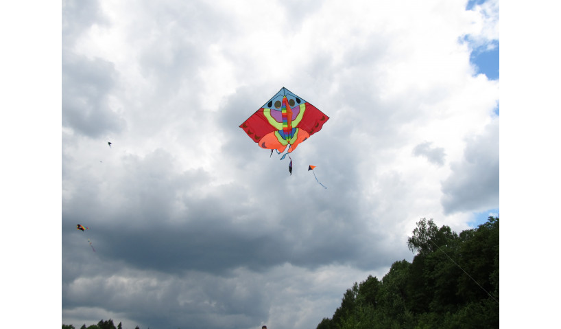 Турнир воздушных змеев «И НЕБО СТАНОВИТСЯ БЛИЖЕ» на Черневской горе в Красногорске